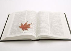 摩纳哥主场惨败，尼姆轻松获胜